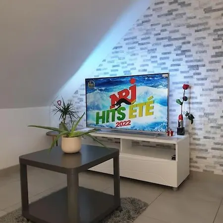 L'oiseau Du Paradis - Moderne Au Coeur De L'alsace