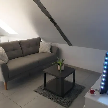 Apartament L'oiseau Du Paradis - Moderne Au Coeur De L'alsace