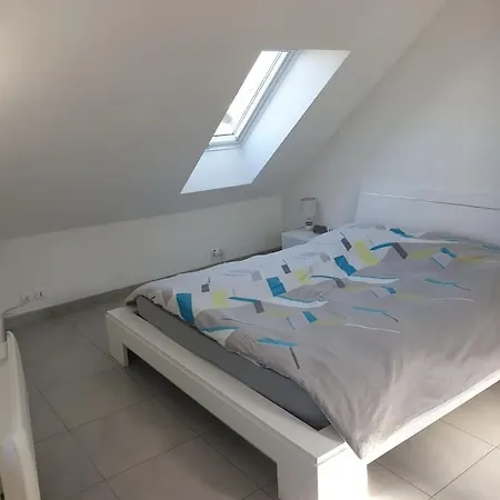 L'oiseau Du Paradis - Moderne Au Coeur De L'alsace *