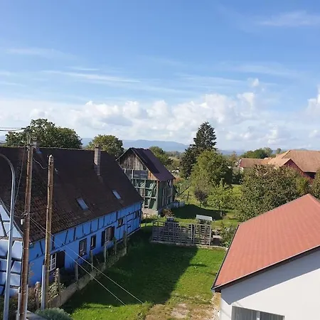 L'oiseau Du Paradis - Moderne Au Coeur De L'alsace