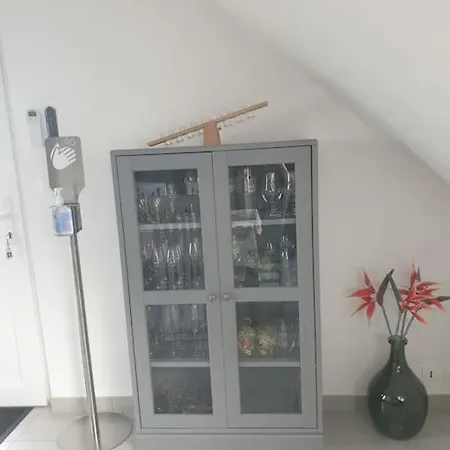 Apartament L'oiseau Du Paradis - Moderne Au Coeur De L'alsace *