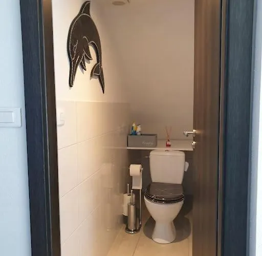 L'oiseau Du Paradis - Moderne Au Coeur De L'alsace