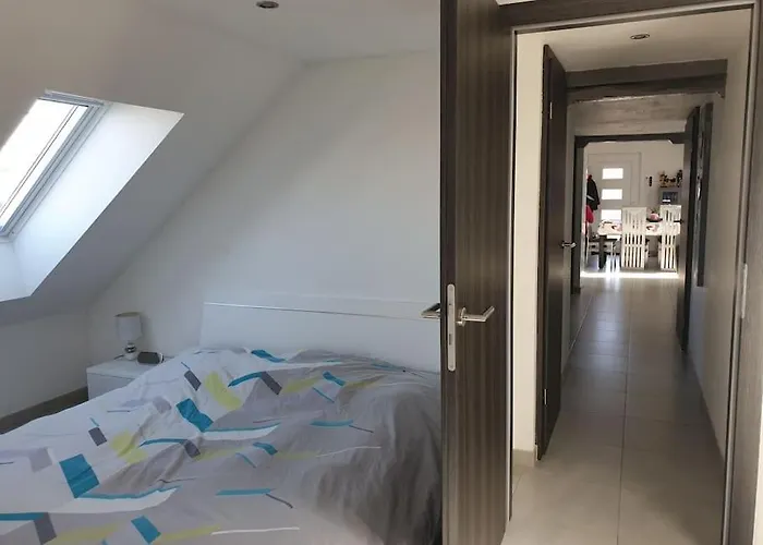 L'oiseau Du Paradis - Moderne Au Coeur De L'alsace Apartment Baldenheim