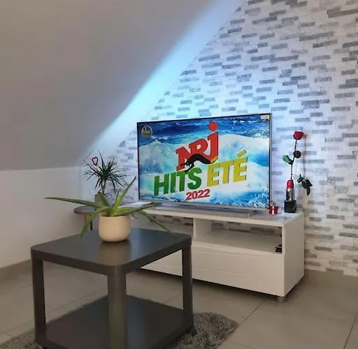 L'oiseau Du Paradis - Moderne Au Coeur De L'alsace