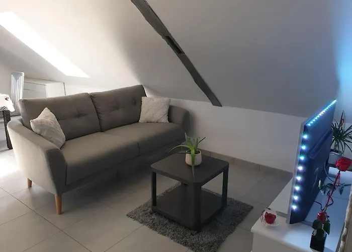 Apartment L'oiseau Du Paradis - Moderne Au Coeur De L'alsace