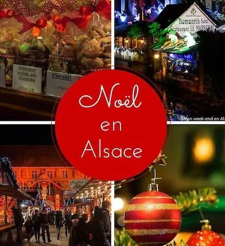 Apartment L'oiseau Du Paradis - Moderne Au Coeur De L'alsace Baldenheim