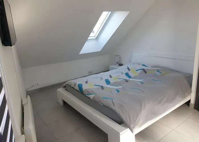 L'oiseau Du Paradis - Moderne Au Coeur De L'alsace *