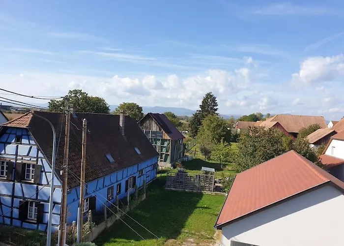 L'oiseau Du Paradis - Moderne Au Coeur De L'alsace