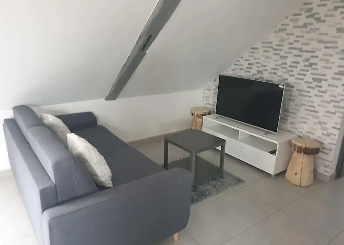 L'oiseau Du Paradis - Moderne Au Coeur De L'alsace Apartment Baldenheim