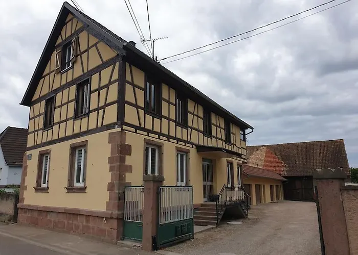 L'oiseau Du Paradis - Moderne Au Coeur De L'alsace * Baldenheim
